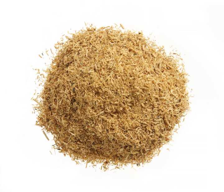 199268_OBW_2022_01_IMGP8305