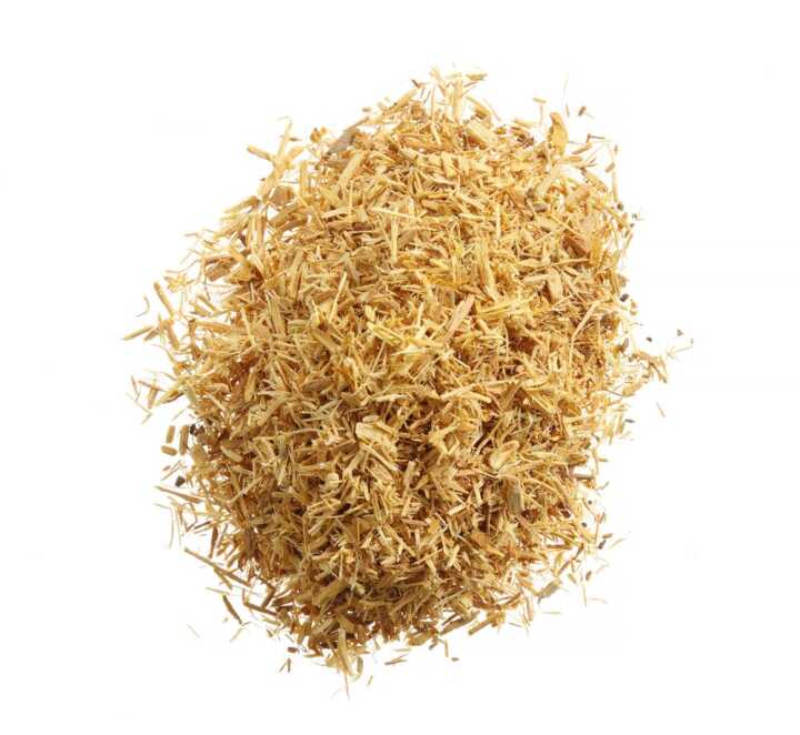 199312_OBW_2022_01_IMGP8288