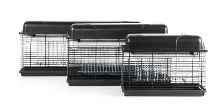 270134_270066_270141_2016