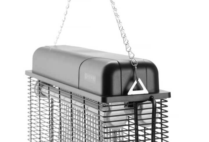 270141_ODW_2021_01_IMGP9990