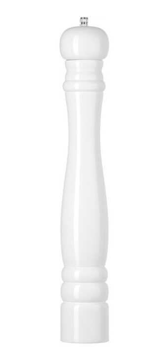 469583_OBW_2022_01_IMGP4287