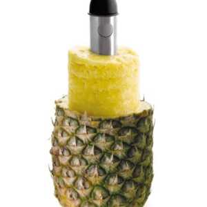 Jogo Cortador-Descascador de Abacaxi com Base