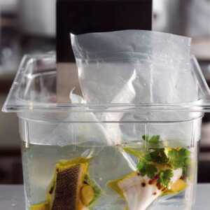 Cocedor a Baixa Temperatura Portátil Sous Vide