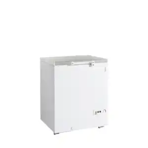 Arca Congeladora  FR205S SL