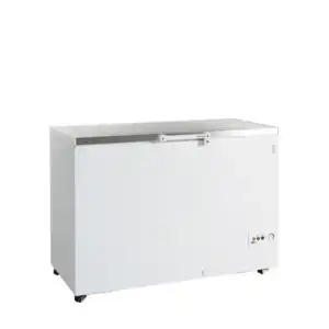 Arca Congeladora  FR405S SL