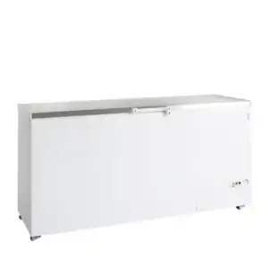 Arca Congeladora  FR605S SL